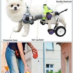 Adjustable Dog Wheelchair for Mobility Support